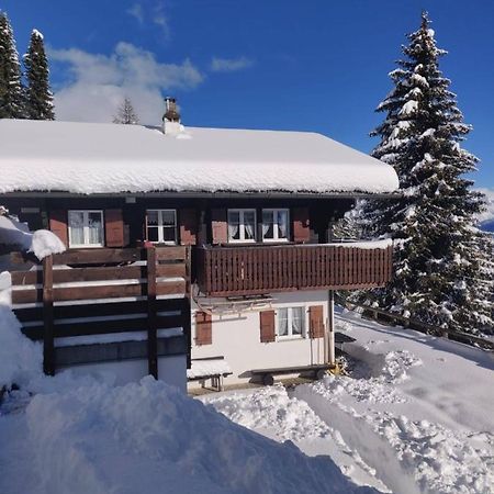 Chalet Grazia Riederalp Zewnętrze zdjęcie