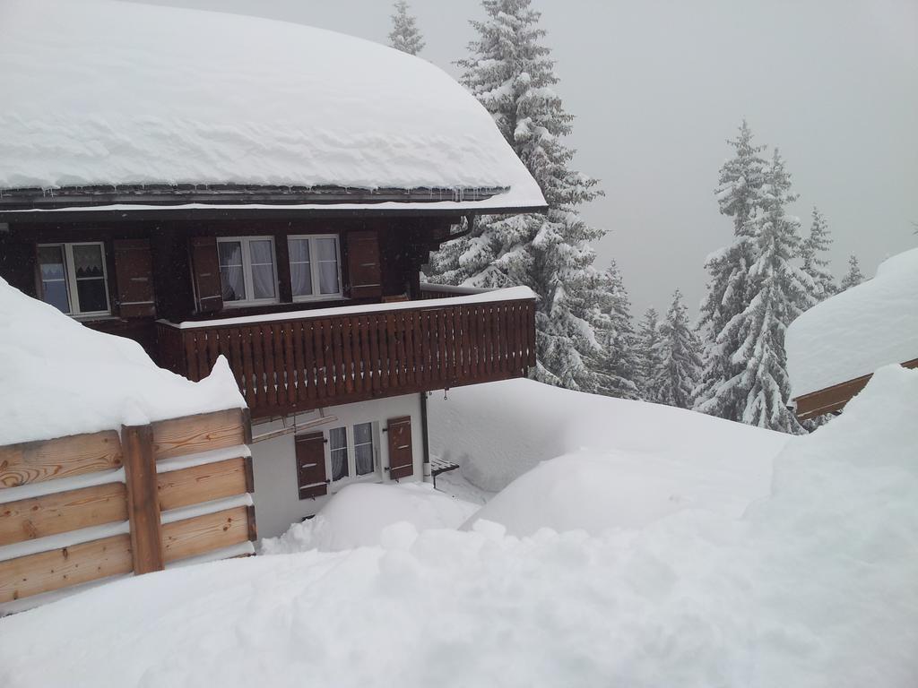 Chalet Grazia Riederalp Zewnętrze zdjęcie